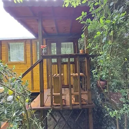 Magnifique Roulotte En Plein Nature דירה